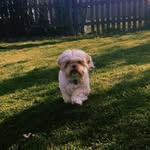 Coco Preston - @coco.p.puffs - Instagram