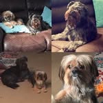 COCO_PRESTON - @coco_preston - Instagram