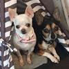 CocoandPreston - @cocoandpreston - TikTok