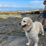 Coco - @cocoprice2 - Instagram