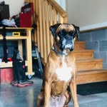 Coco Price - @cocopriceboxer - Instagram