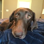 Coco Price - @cocolocoig - Instagram
