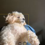 @coco_puffs.__ - Instagram