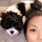 Coco & Rambo - @cocomamasita - Instagram