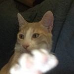 Coco Rambo - @coco_rambo_ - Instagram