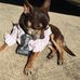 Coco "Rambo" Island - Facebook