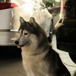 Coco'Rambo - @cocorambo00 - Instagram
