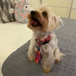 Rambo Coco - @ramboycoco - Instagram