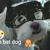 cocoramirez - @cocoramirez834 - TikTok