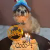 Coco Ramos Jimenez 🩵 - @cocoramosjimenez - TikTok