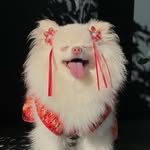 princess_Coco - @coco_richiee - Instagram