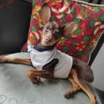 Coco Ricardo Dugarte Rivas - @cocoricardo20 - Instagram