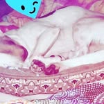 Coco Rivas - @coco.rivas.9883 - Instagram