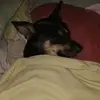 Coco Rivas - @cocopancraciorc - TikTok