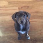 Coco - @coco__roberts - Instagram