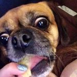 Coco - @coco_roberts_ - Instagram