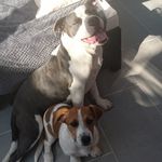 coco roberts - @coco_roberts1234 - Instagram