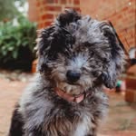 Coco Robinson - @hellococogirl - Instagram