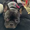 CocoRob - @thecocorobinson - TikTok
