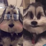 Hannah And Coco Robinson - @slo_mo_coco - Instagram