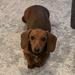 Coco - @coco_rogers1 - Instagram