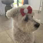 @cocorogers123 - Instagram