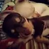 coco Salazar - @coco.salazar52 - TikTok