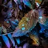 cocosalazar72 - @cocosalazar72 - TikTok
