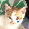 Coco - @cocojanesanders - TikTok