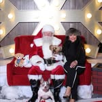 Coco&Santana 🐾 - @in_the_life_of_coco_santana - Instagram