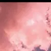 🐾coco 🐾 - @cocoschneiderblanco - TikTok