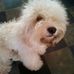 Coco Schneider - Facebook
