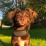 @coco__scott - Instagram