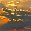 Coco Scott 01 - @coco.scott.01 - TikTok