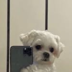 @cocoscott_ - Instagram
