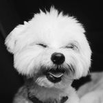 Hola soy COCO - @_cocowhite - Instagram