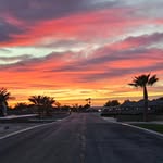 Codie Brown - @codie_brown1021 - Instagram