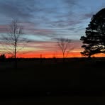 Cody Acree - Facebook