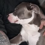 Cody Arnold - Facebook