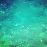 cody barber - @cody_a_barber - Instagram
