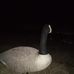 Cody Bates - Facebook