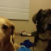 Cody.Baxter.2  - @cody.baxter.2 - TikTok