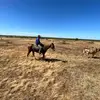 Cody Beasley - @codybeasley80 - TikTok