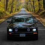 Cody Benedict - @codybenedict3 - Instagram