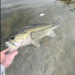 Cody Benton - @codybenton_flyfishing - Instagram
