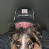 Cody Benton - @xodyxenton - TikTok