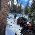 Cody Braden - Facebook