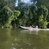 CodyJBraden - @codyjbraden - TikTok