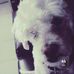 Cody Bravo - Facebook