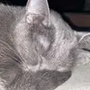 Cody Brewer - @codybrewer06 - TikTok
